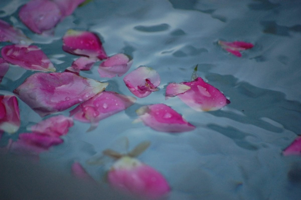 rose pattels on water symbolising calm water birth